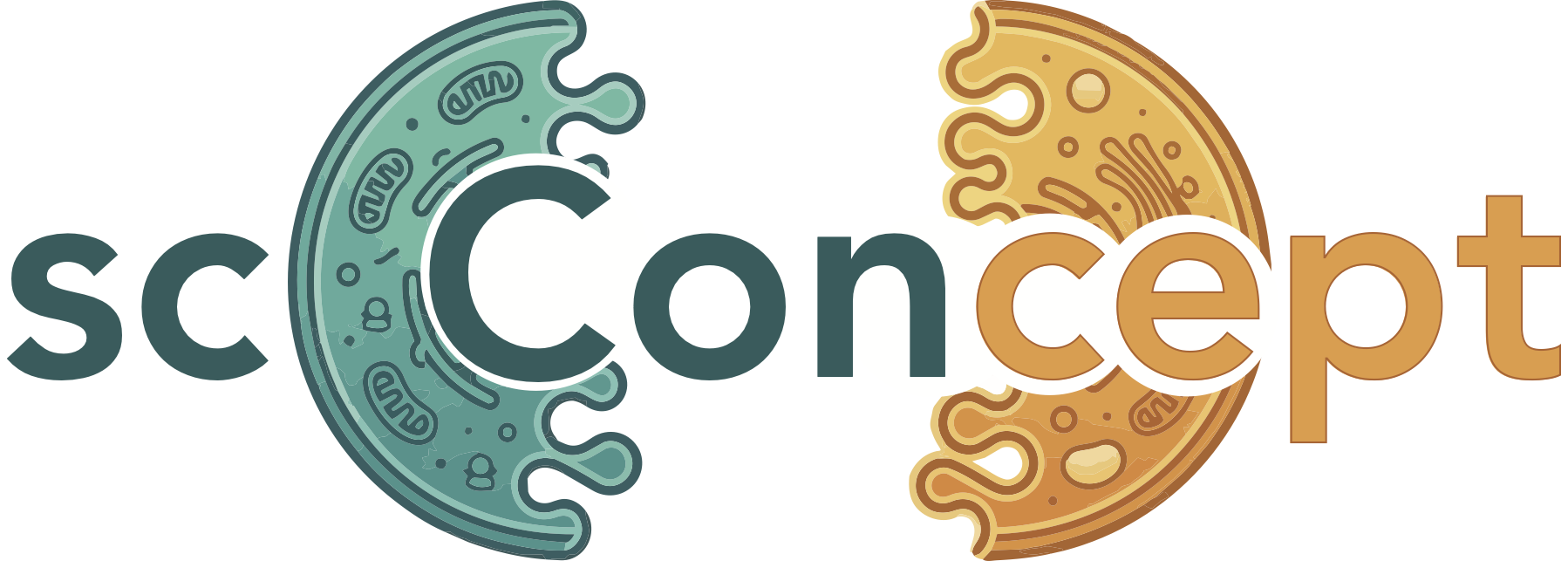 sc-concept - Home